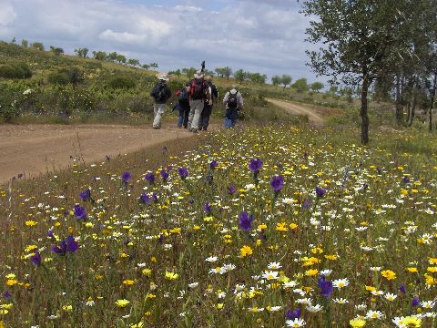 Start uw wandelreis over de Via Algarviana in Alcoutim bij Aarts Wandelreizen